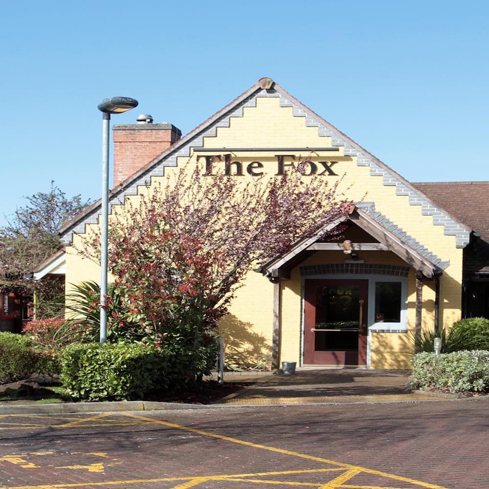 The Fox